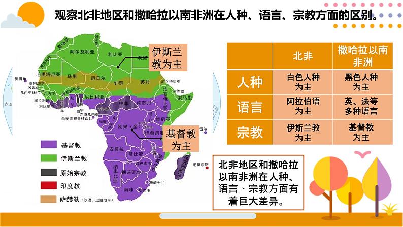 2022-2023学年人教版地理七年级下册第八章第三节《撒哈拉以南非洲》第一课时课件第5页