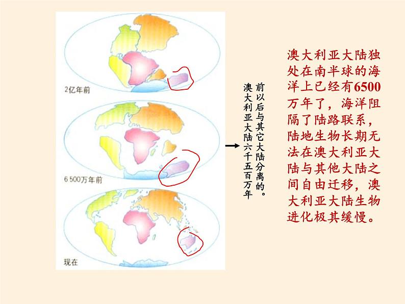 人教版初中地理七年级下册 第四节　澳大利亚    课件08