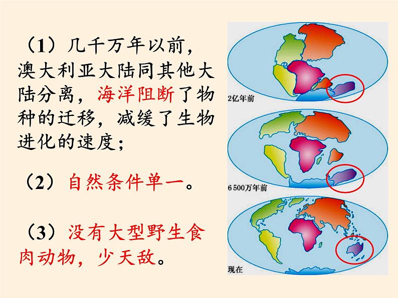 人教版初中地理七年级下册 第四节　澳大利亚    课件05