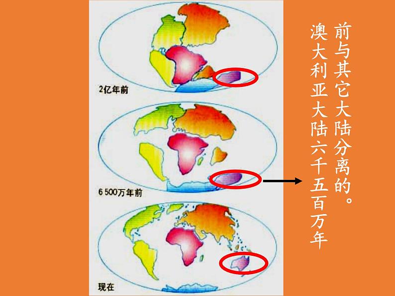 人教版初中地理七年级下册 第四节　澳大利亚    课件06