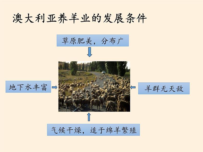 人教版初中地理七年级下册 第四节　澳大利亚    课件第6页