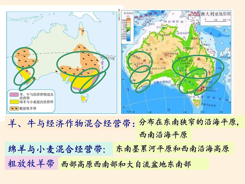 人教版初中地理七年级下册 第四节　澳大利亚    课件第7页