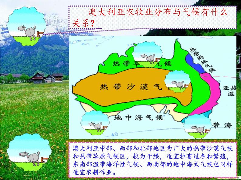 人教版初中地理七年级下册 第四节　澳大利亚    课件08