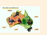 人教版初中地理七年级下册 第四节　澳大利亚    课件