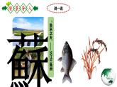 第七章南方地区7.2.1《“鱼米之乡”—长江三角洲地区》第1课时课件