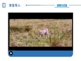 中圖版地理八下第6章第四節(jié)撒哈拉以南非洲第1課時課件
