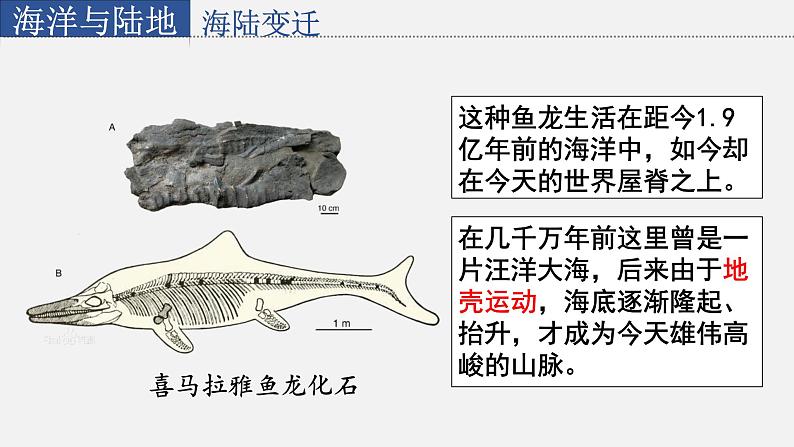 星球版七上地理3.2海陆变迁课件第5页