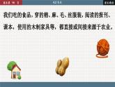 人教版地理八上·4.2 农业（课件PPT）