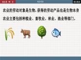 人教版地理八上·4.2 农业（课件PPT）