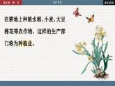 人教版地理八上·4.2 农业（课件PPT）