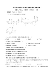 精品解析：2023年安徽省六安市第九中学中考一模地理试题（原卷版）