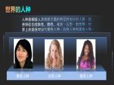 3.2 世界的人种（课件+视频）-2023-2024学年七年级地理上学期湘教版