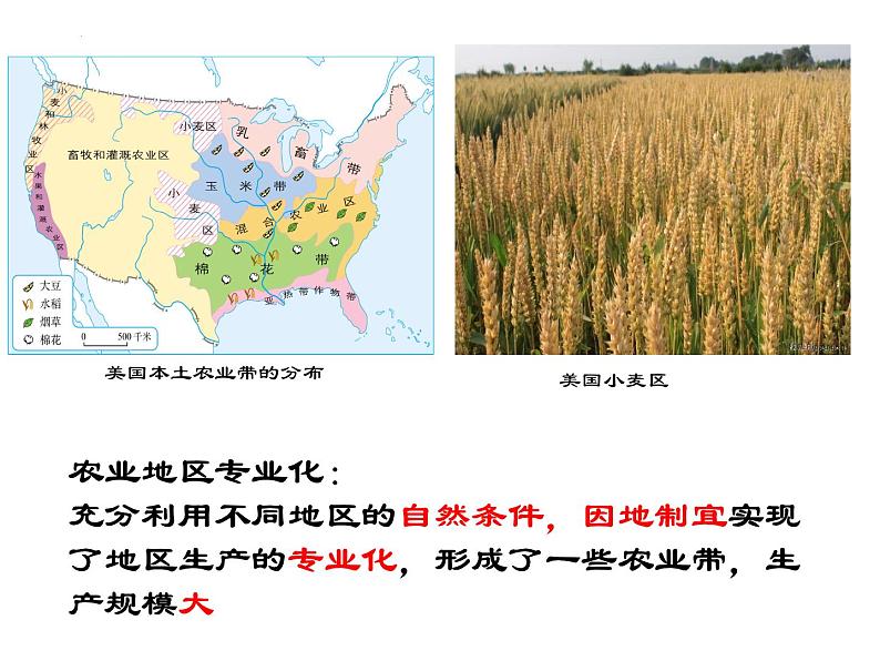 9.1 美国 第二课时课件   2021-2022学年人教版地理七年级下册第6页