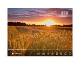 3.1 合理利用土地資源 課件-2023-2024學(xué)年八年級地理上學(xué)期商務(wù)星球版