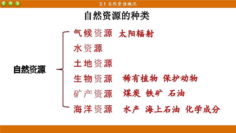 湘教版地理八上 3.1 自然资源概况（课件PPT)07