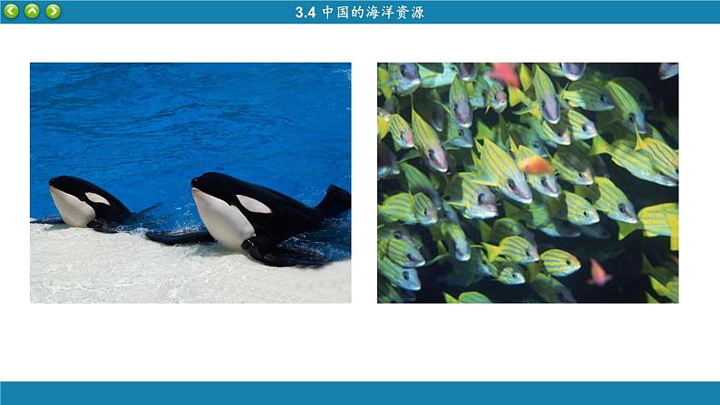 湘教版地理八上 3.4 中国的海洋资源（课件PPT)06