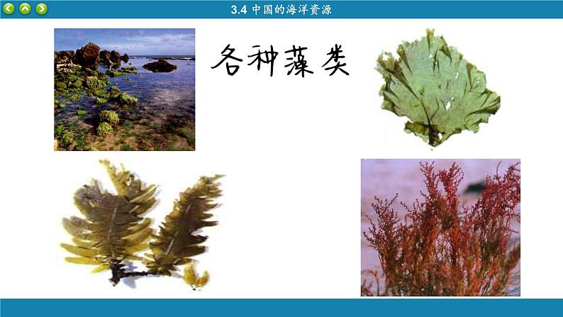 湘教版地理八上 3.4 中国的海洋资源（课件PPT)08