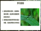 第三章第三节《降水的变化与分布》课件2022-2023学年鲁教版（五四学制）地理六年级上册