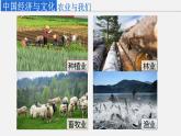 4.1因地制宜发展农业  课件 2023-2024学年商务星球版地理八年级上册