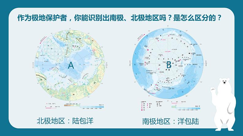 人教（新课标）地理七下：第十章《极地地区》课件04