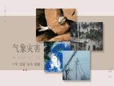 第二章  中国的自然环境 第四节 自然灾害 课件+教案