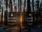 第三章  中国的自然资源 第一节 自然资源的基本特征 课件+教案
