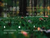第三章  中国的自然资源 第一节 自然资源的基本特征 课件+教案