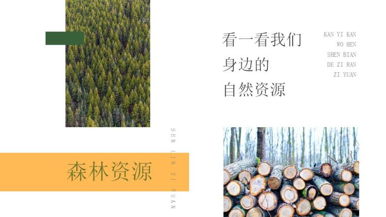 第三章  中国的自然资源 第一节 自然资源的基本特征 课件+教案05