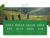 第四章  中国的经济发展 第二节 农业 课件+教案