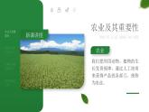 第四章  中国的经济发展 第二节 农业 课件+教案