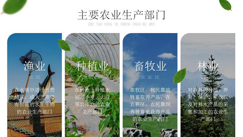 第四章  中国的经济发展 第二节 农业 课件+教案04