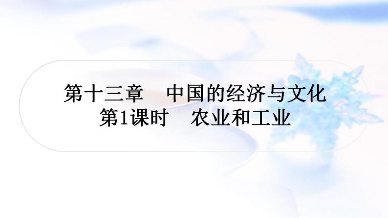 中考地理复习中国地理第十三章中国的经济与文化第1课时农业和工业教学课件01