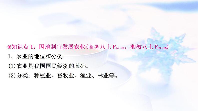 中考地理复习中国地理第十三章中国的经济与文化第1课时农业和工业教学课件第3页