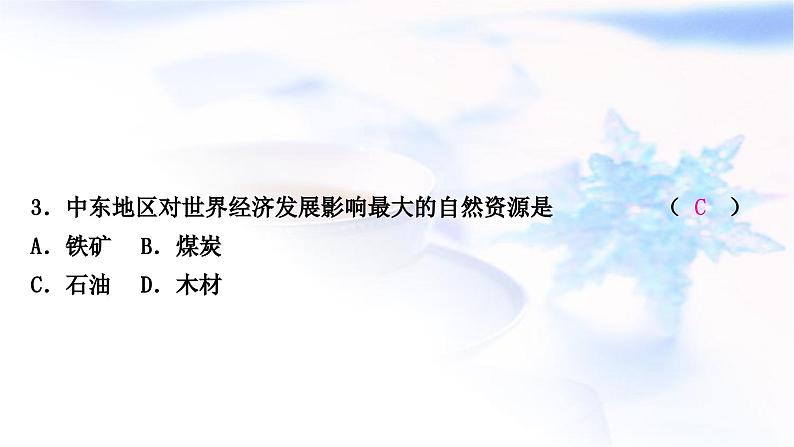 中考地理复习世界地理第七章各具特色的地区第1课时东南亚、中东、撒哈拉以南的非洲作业课件第6页