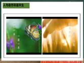 人教版地理八年级上册3.1 《自然资源的基本特征》课件