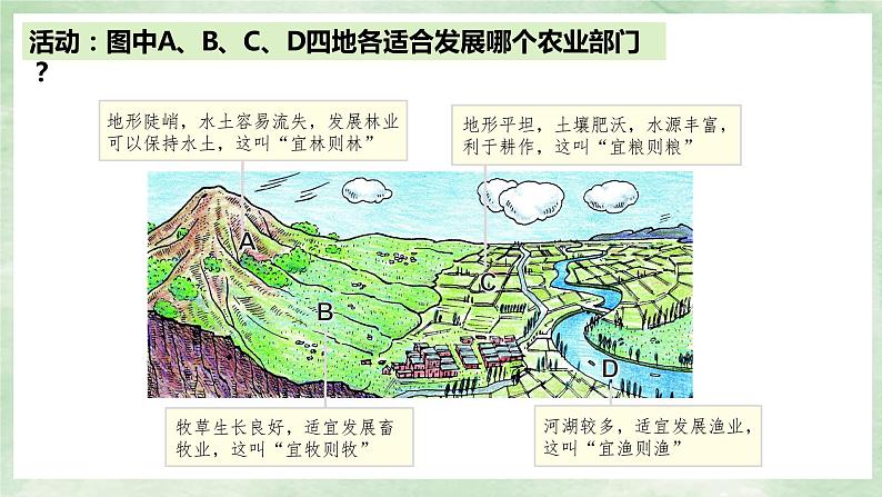 人教版地理八年级上册4.2.2《农业》课件06