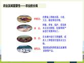 人教版地理八年级上册4.2 农业 课件