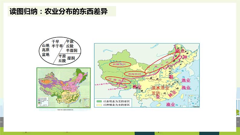 人教版地理八年级上册4.2 农业 课件08