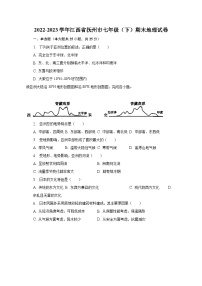 2022-2023学年江西省抚州市七年级（下）期末地理试卷（含解析）