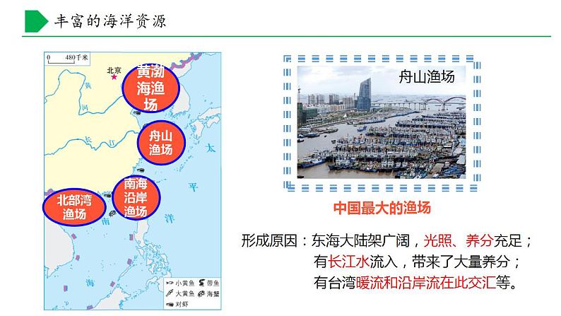 【核心素养】湘教版初中地理 八年级上册 3.4 中国的海洋资源 课件第8页
