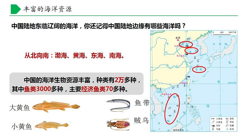 【核心素养】湘教版初中地理 八年级上册 3.4 中国的海洋资源 课件07