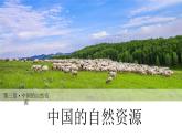 【核心素养】湘教版初中地理 八年级上册 3.1《中国的自然资源》 课件+教案