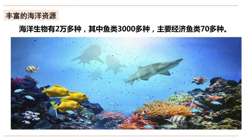 湘教版八年级上册地理3.4《中国的海洋资源》课件+教案08