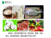【核心素养】湘教版初中地理 八年级上册 4.1 《农业》 课件