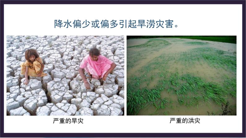 中国版地理八年级上册2.1.3《世界的气温和降水》（第3课时）课件+教案04