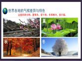 中国版地理八年级上册2.2.1《世界的气候类型》（第1课时）课件+教案