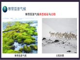 中国版地理八年级上册2.2.4《世界的气候类型》（第4课时）课件+教案
