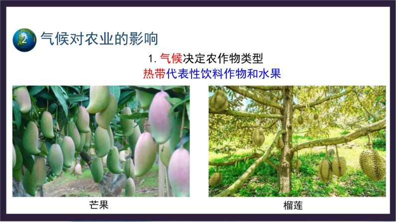 中国版地理八年级上册2.3.1《气候与人类活动》（第1课时）课件+教案06