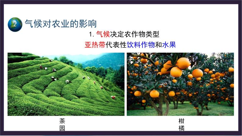 中国版地理八年级上册2.3.1《气候与人类活动》（第1课时）课件+教案07