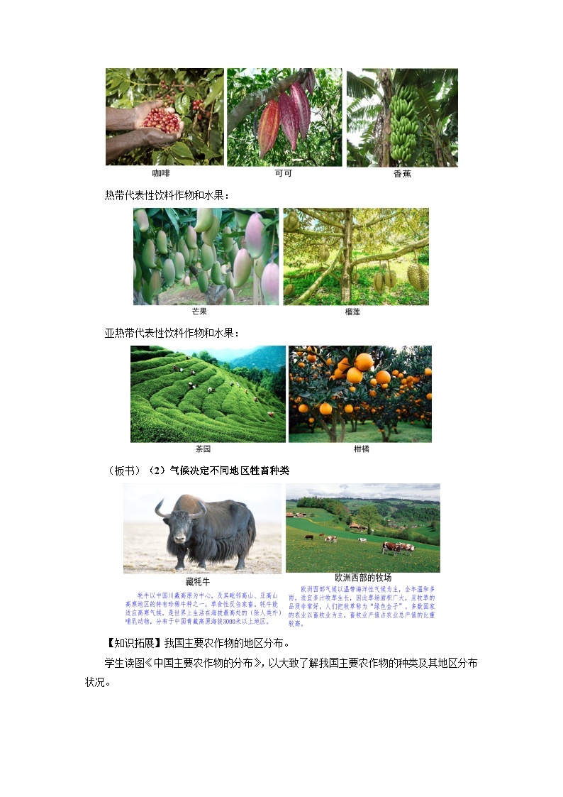 中国版地理八年级上册2.3.1《气候与人类活动》（第1课时）课件+教案03